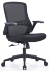 Task Chair, Flip-Up Arms