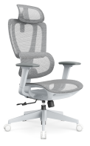 Ergonomic Full-Mesh Task Chair (QW, Grey/HS)