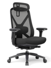 Executive Multifunction High-Back