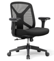 Executive Mid-Back